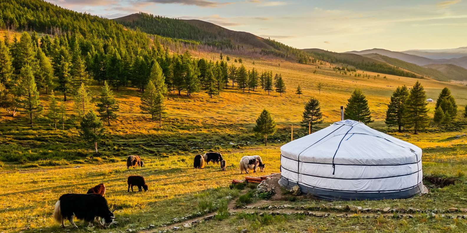 9D7N Mongolia Cultural Tour (Summer)