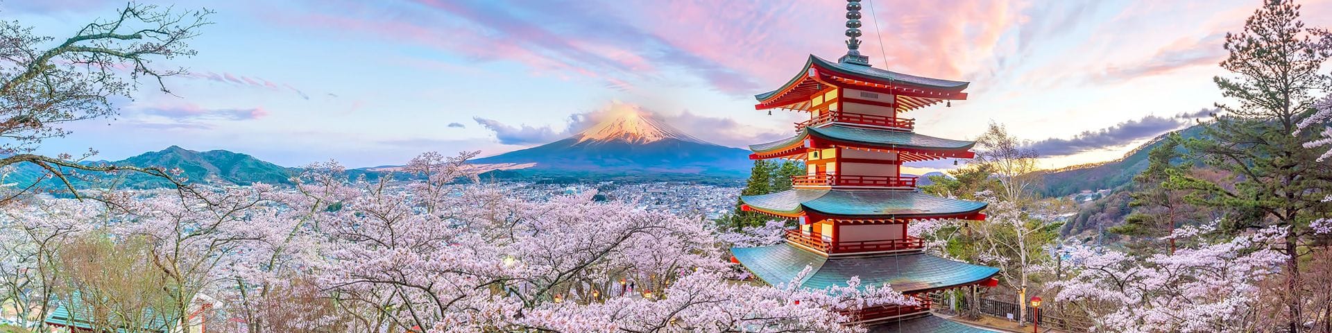 ๐ฏ๐ต Japan