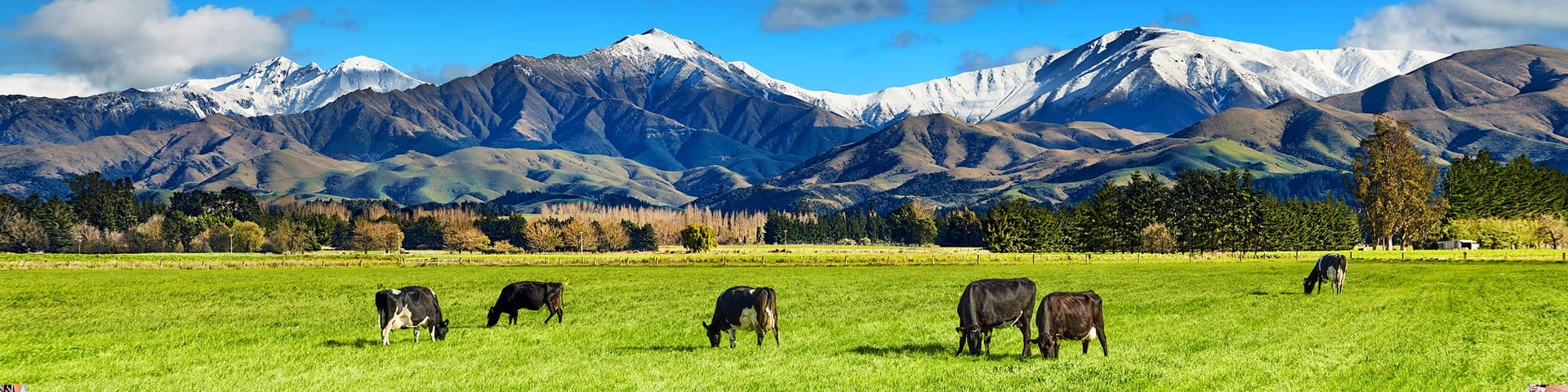 ๐ณ๐ฟ New Zealand