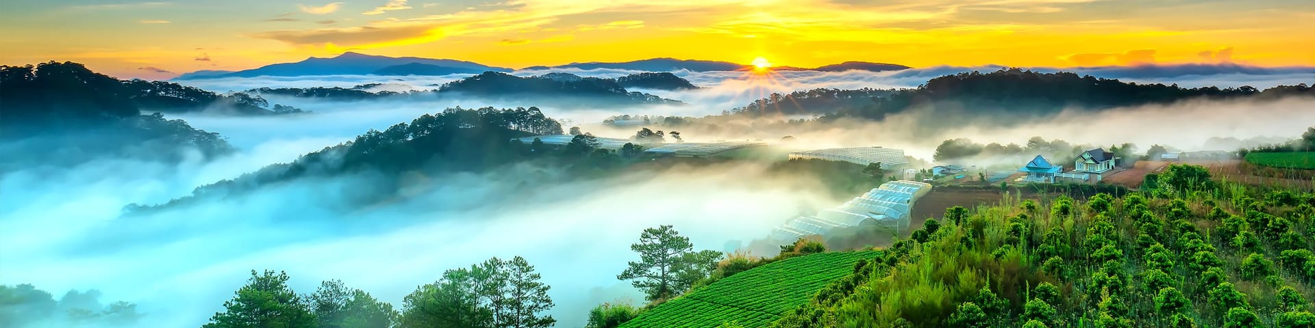 ๐ป๐ณ Vietnam