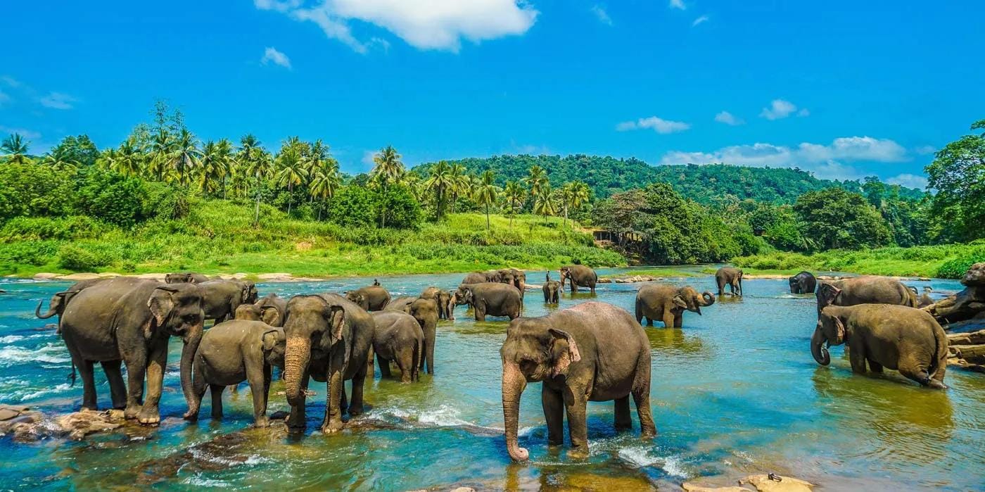 8D7N Sri Lanka Exquisite & Cultural Tour