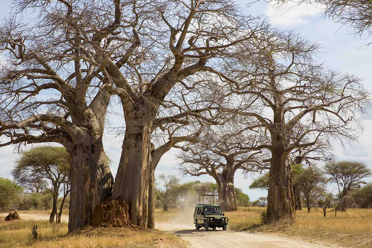 14D12N Kenya & Tanzania