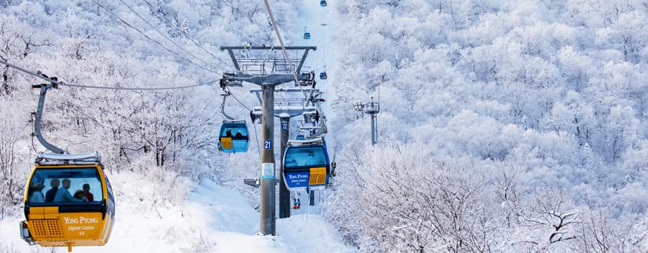 6D4N Seoul Ski Fun